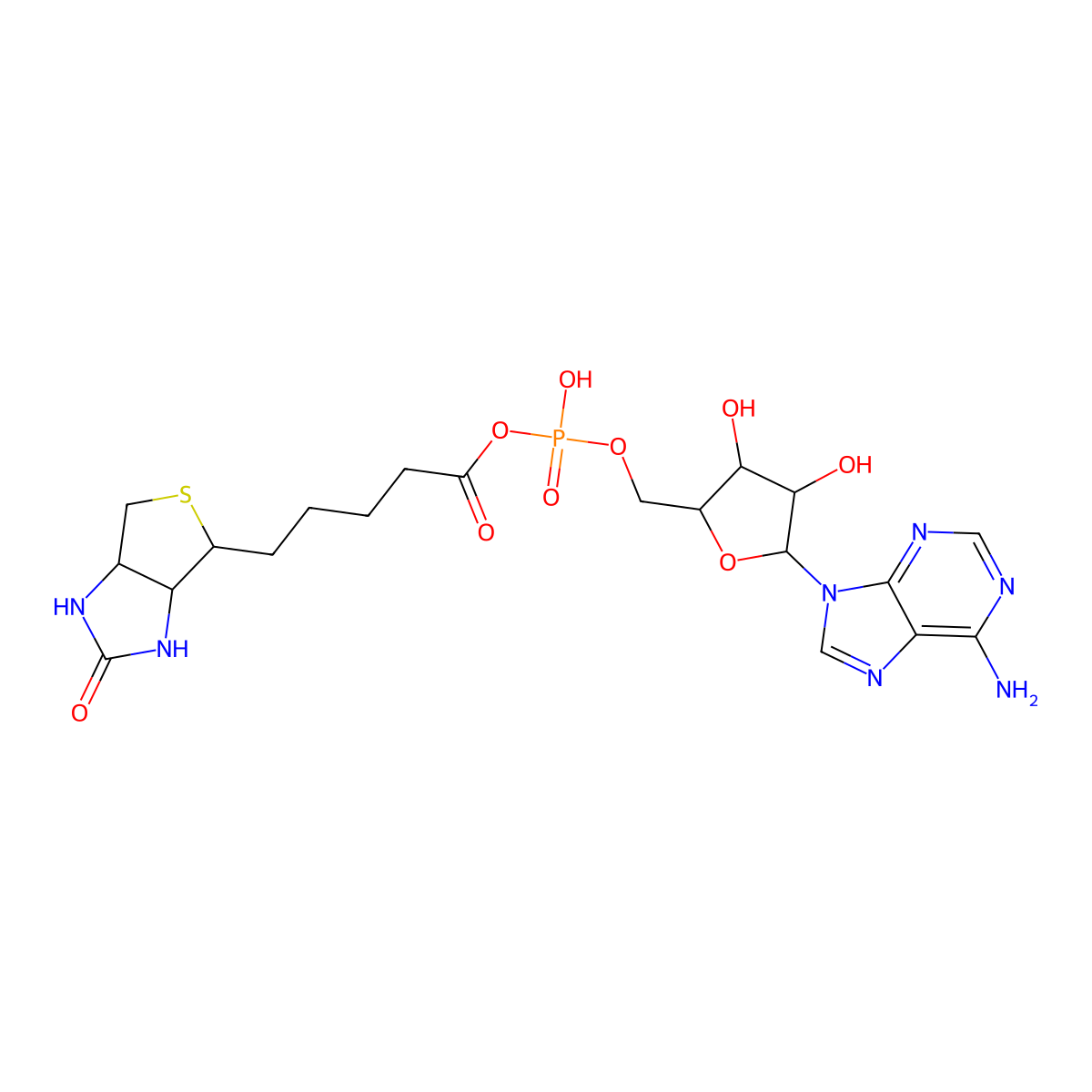 biotinyl-5'-AMP molecular structure, CAS 4130-20-5