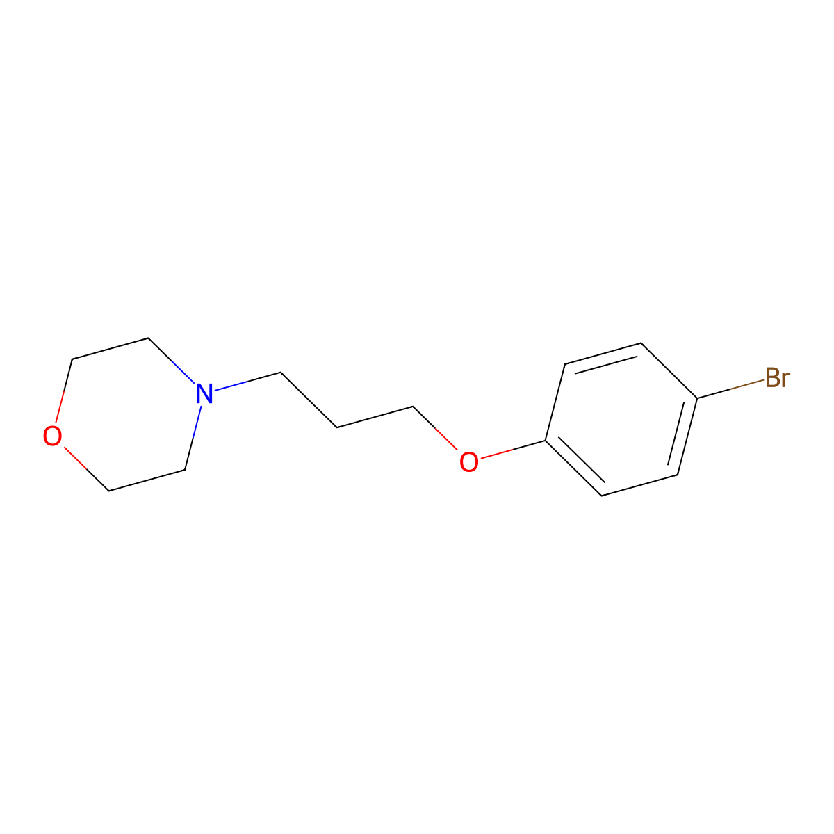 4-[3-(4-Bromophenoxy)propyl]morpholine molecular structure, CAS 415937-01-8
