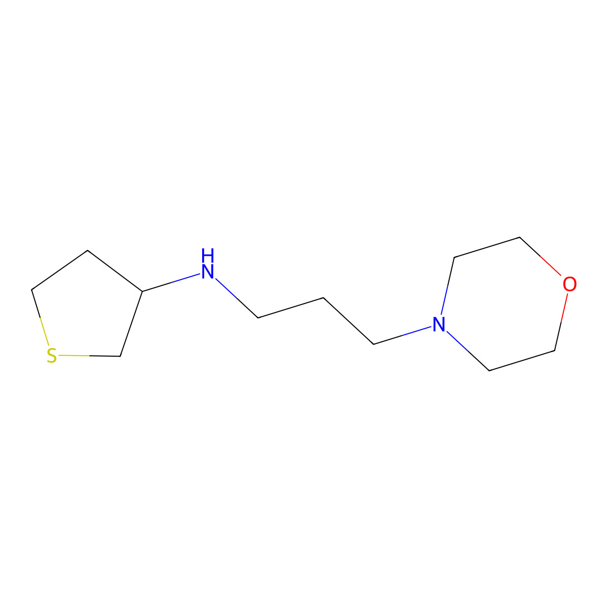 N-[3-(morpholin-4-yl)propyl]thiolan-3-amine molecular structure, CAS 416863-76-8