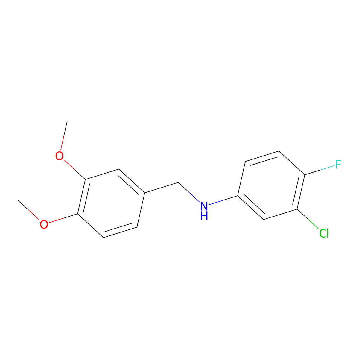 3-chloro-N-[(3,4-dimethoxyphenyl)methyl]-4-fluoroaniline molecular structure, CAS 416865-75-3