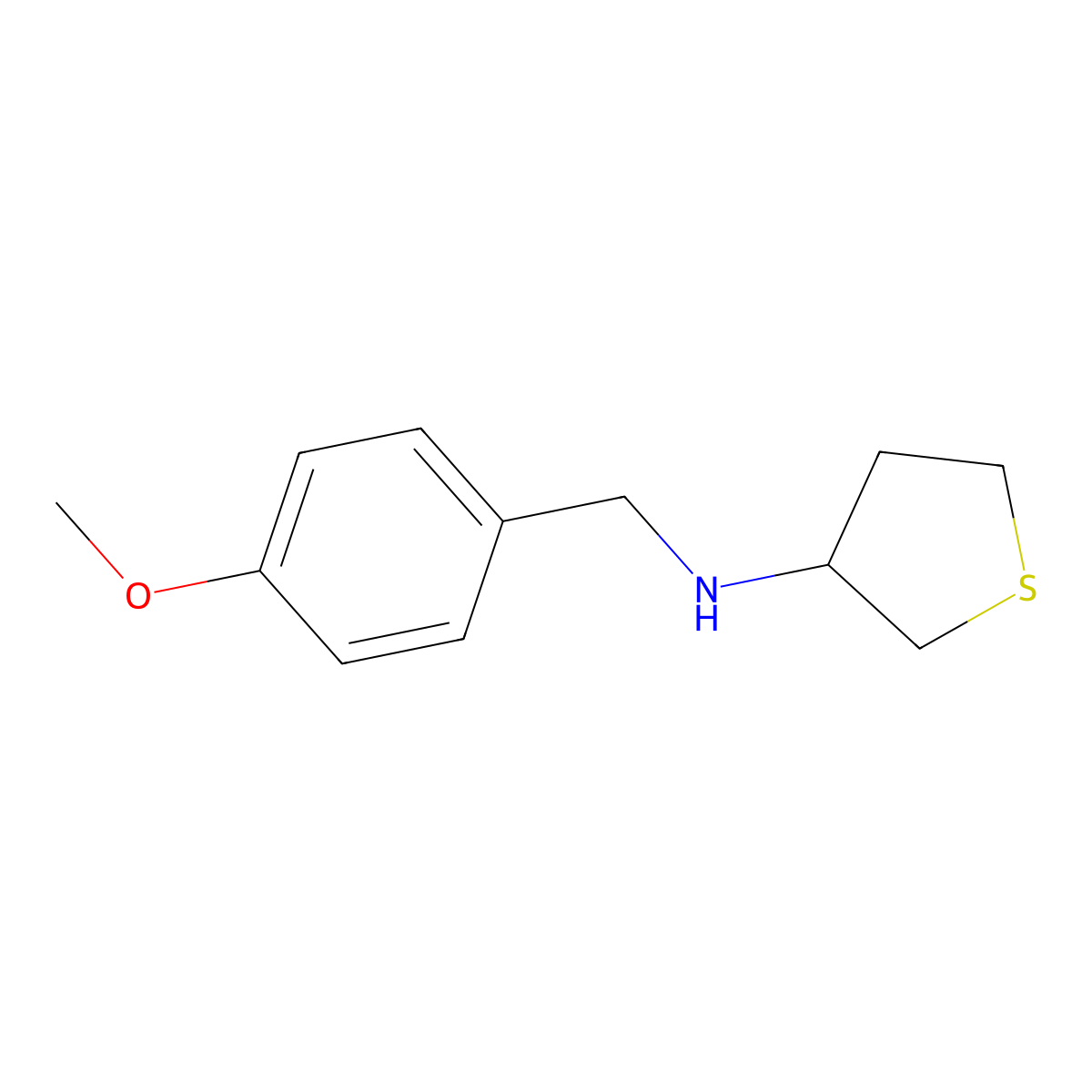 N-[(4-methoxyphenyl)methyl]thiolan-3-amine molecular structure, CAS 416866-62-1