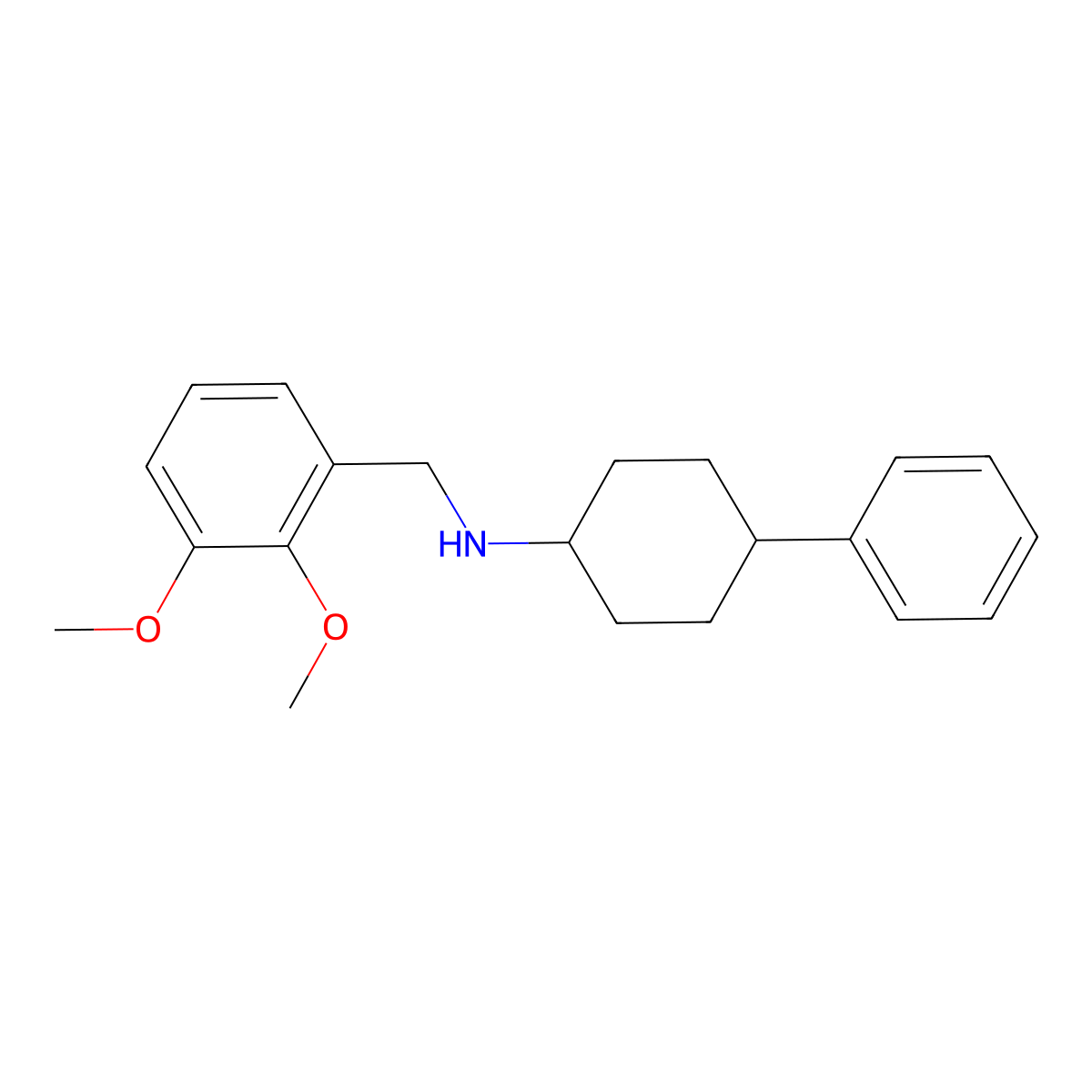 (2,3-Dimethoxybenzyl)(4-phenylcyclohexyl)amine molecular structure, CAS 416869-67-5