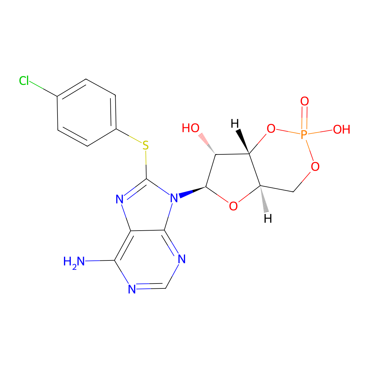 8-(4-Chlorophenylthio)-cAMP molecular structure, CAS 41941-66-6