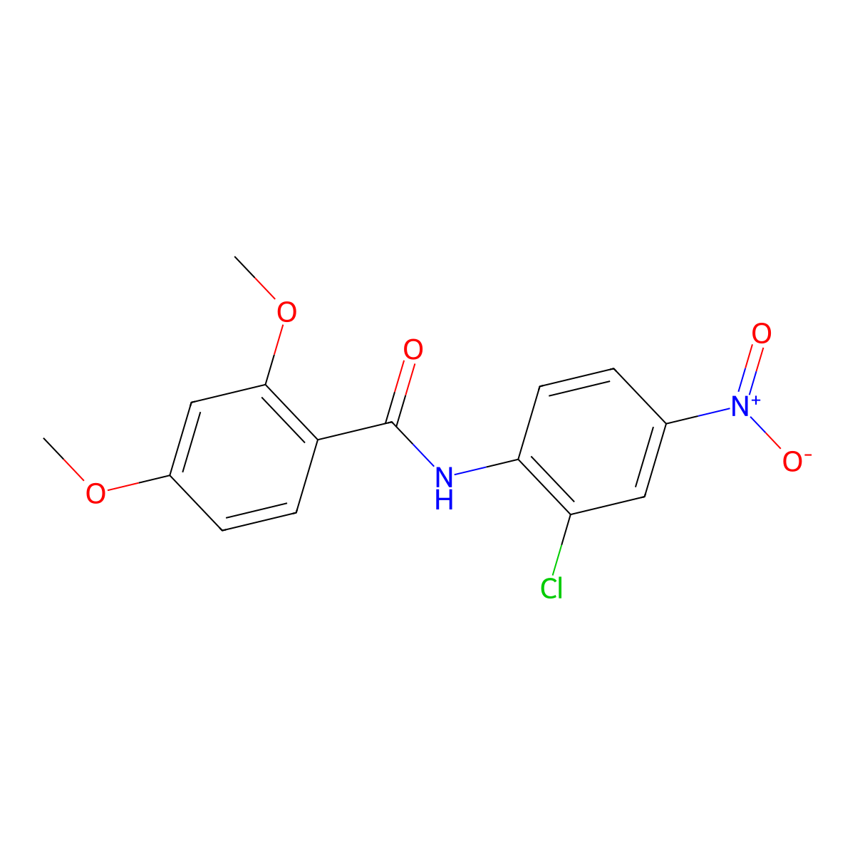 N-(2-chloro-4-nitrophenyl)-2,4-dimethoxybenzamide molecular structure, CAS 420089-87-8