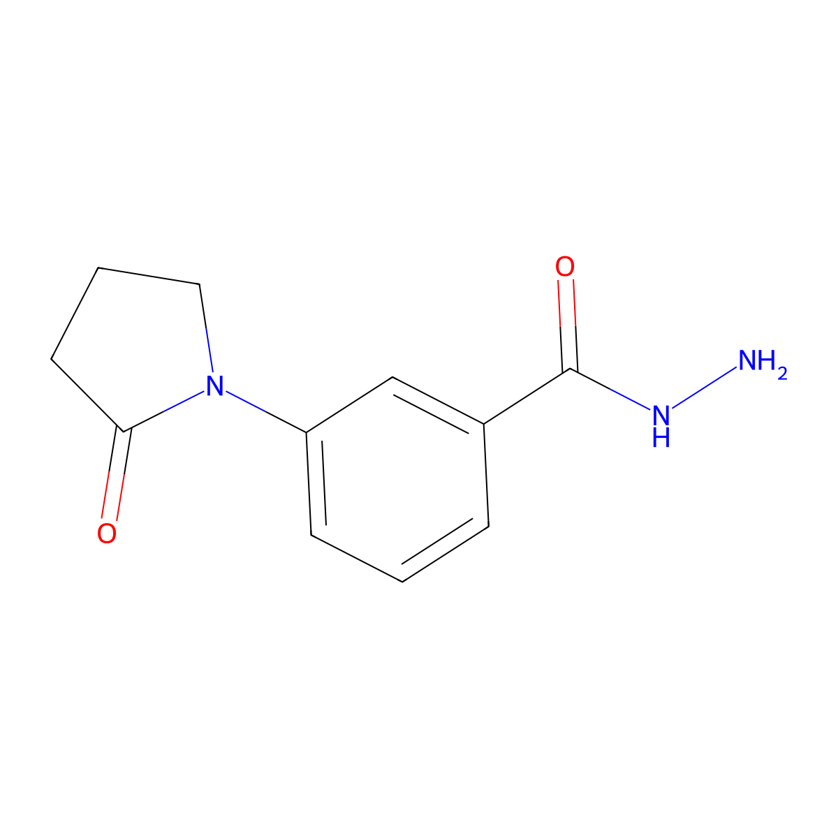 3-(2-Oxopyrrolidin-1-yl)benzohydrazide molecular structure, CAS 420097-54-7
