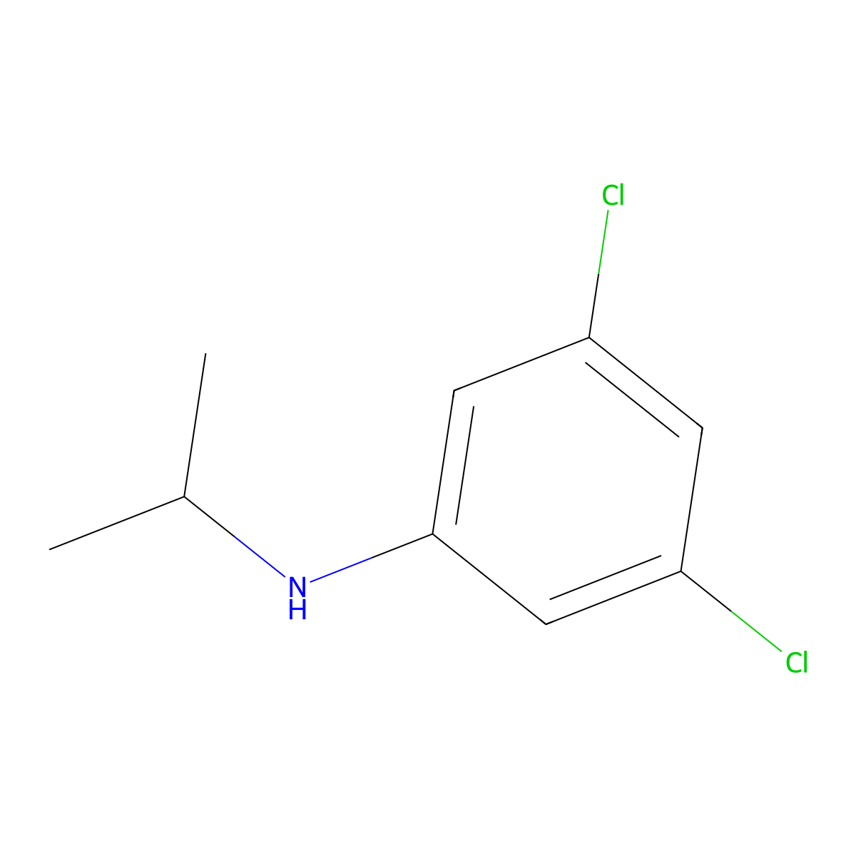 (3,5-Dichloro-phenyl)-isopropyl-amine molecular structure, CAS 42266-17-1