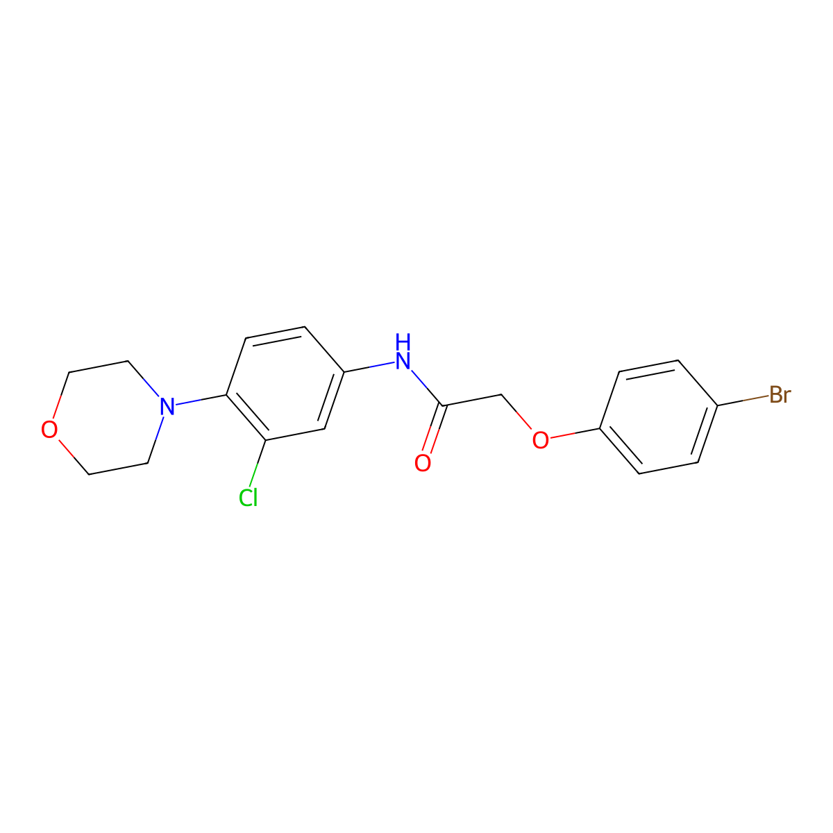 2-(4-bromophenoxy)-N-[3-chloro-4-(morpholin-4-yl)phenyl]acetamide molecular structure, CAS 423146-57-0