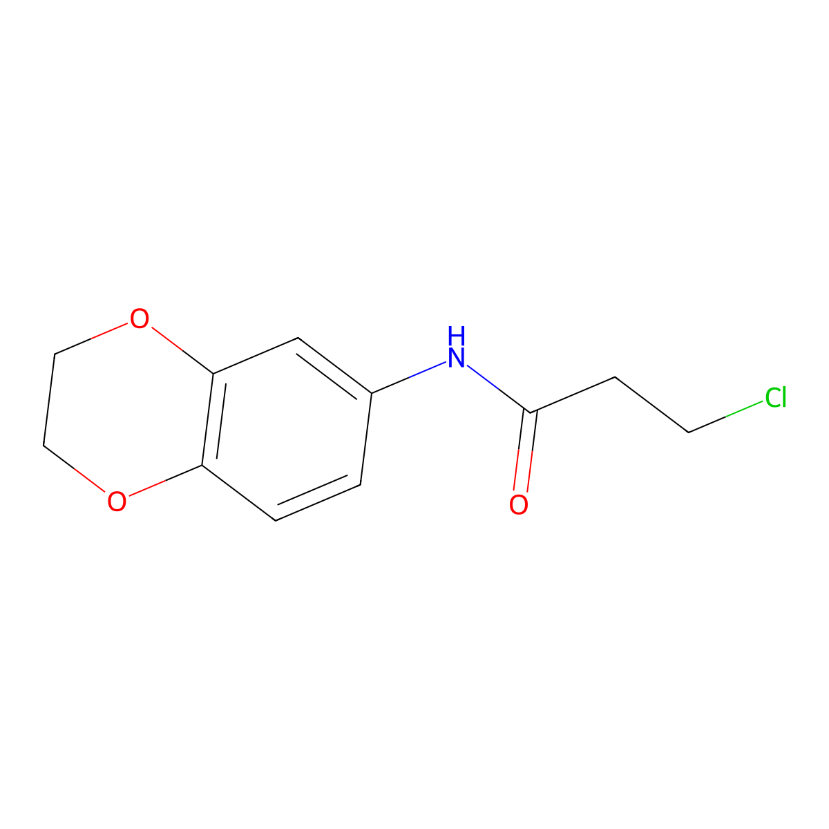 3-chloro-N-(2,3-dihydro-1,4-benzodioxin-6-yl)propanamide molecular structure, CAS 42477-08-7