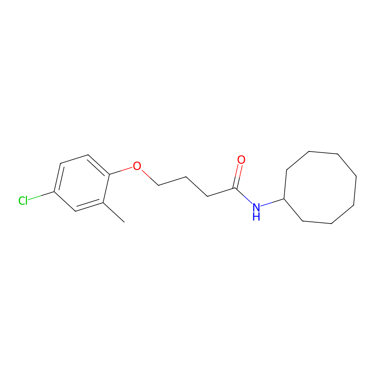 4-(4-chloro-2-methylphenoxy)-N-cyclooctylbutanamide molecular structure, CAS 424810-28-6