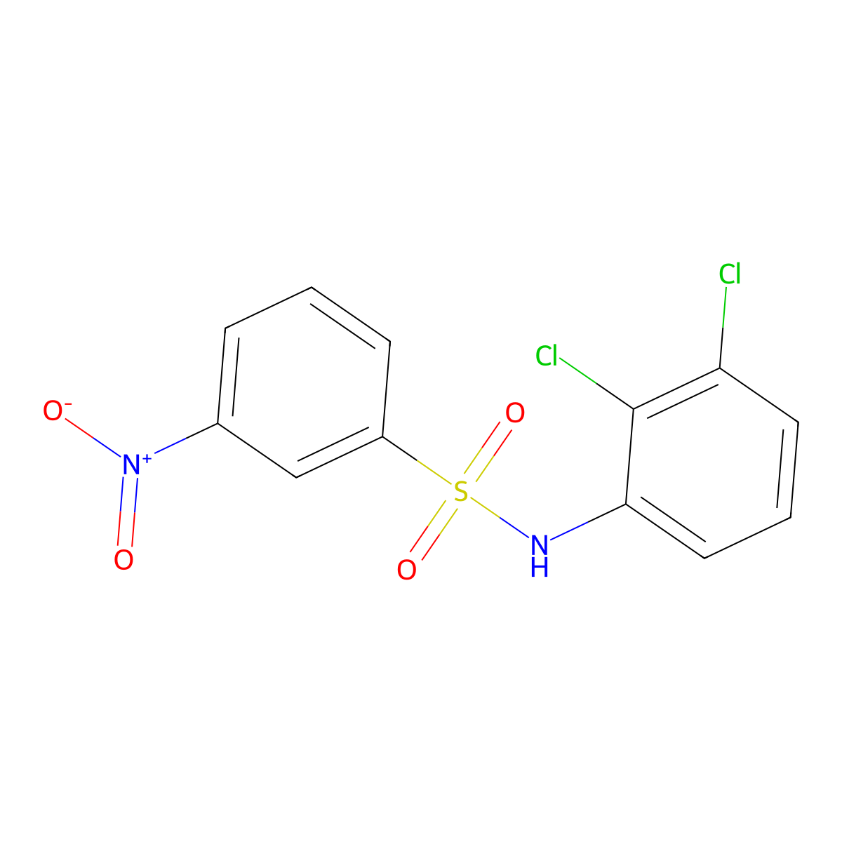 N-(2,3-dichlorophenyl)-3-nitrobenzenesulfonamide molecular structure, CAS 424813-87-6