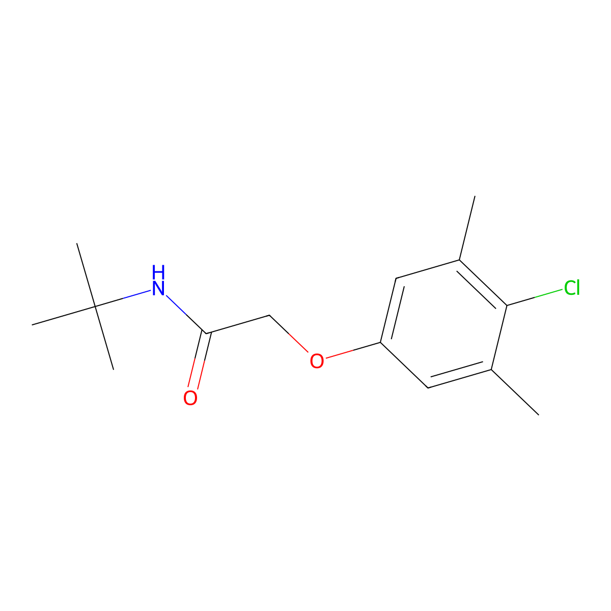N-tert-butyl-2-(4-chloro-3,5-dimethylphenoxy)acetamide molecular structure, CAS 424813-98-9