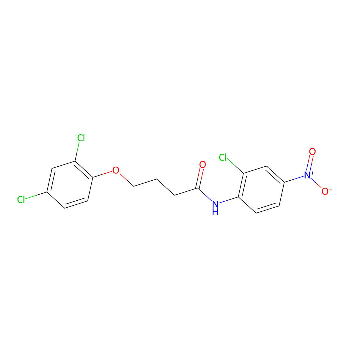 N-(2-chloro-4-nitrophenyl)-4-(2,4-dichlorophenoxy)butanamide molecular structure, CAS 425372-09-4
