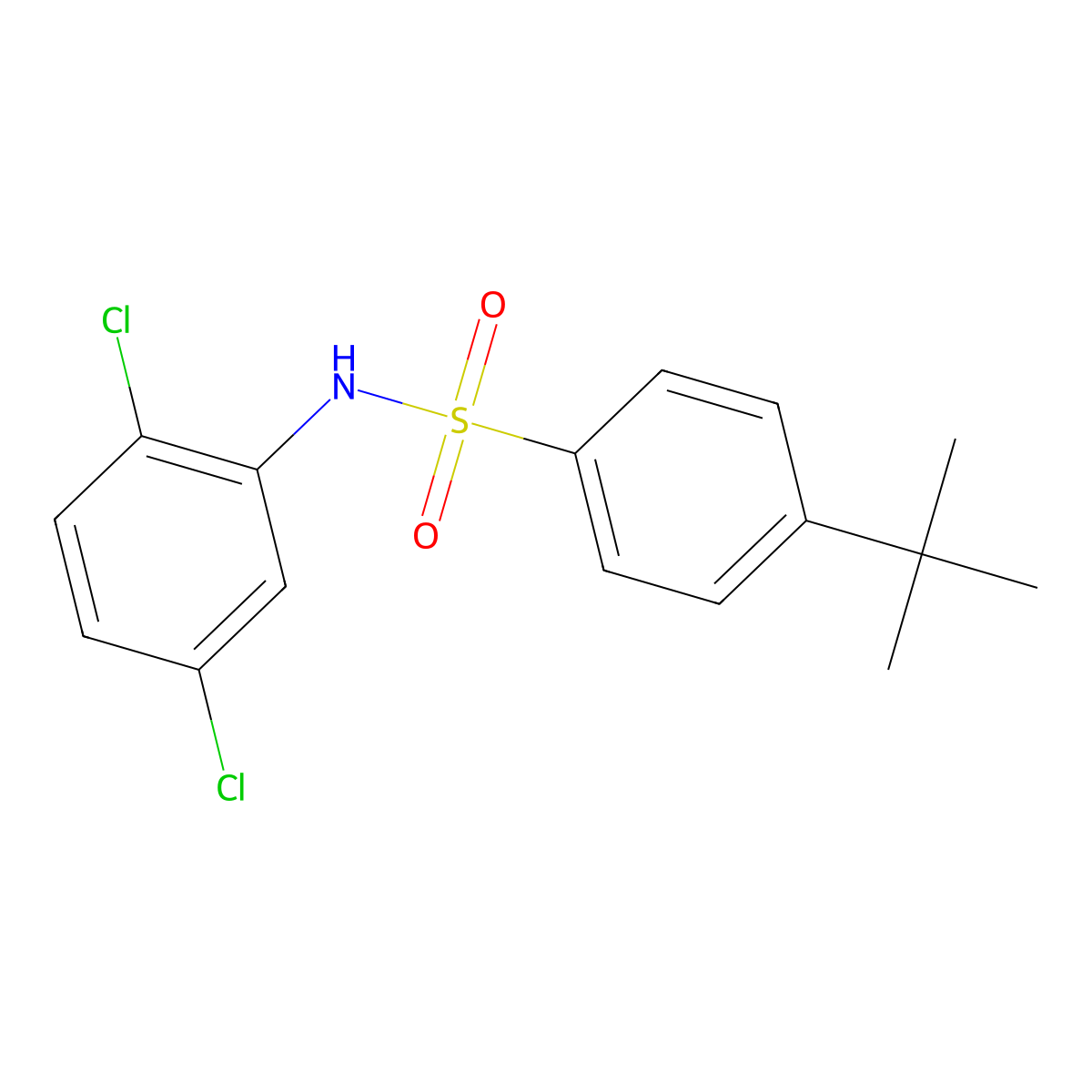 4-tert-butyl-N-(2,5-dichlorophenyl)benzenesulfonamide molecular structure, CAS 425375-62-8
