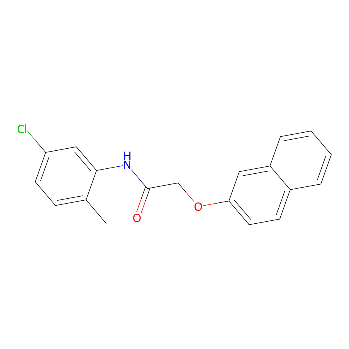 N-(5-chloro-2-methylphenyl)-2-(2-naphthyloxy)acetamide molecular structure, CAS 425400-29-9