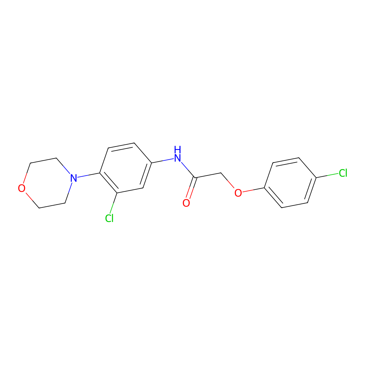N-(3-chloro-4-morpholin-4-ylphenyl)-2-(4-chlorophenoxy)acetamide molecular structure, CAS 425655-26-1