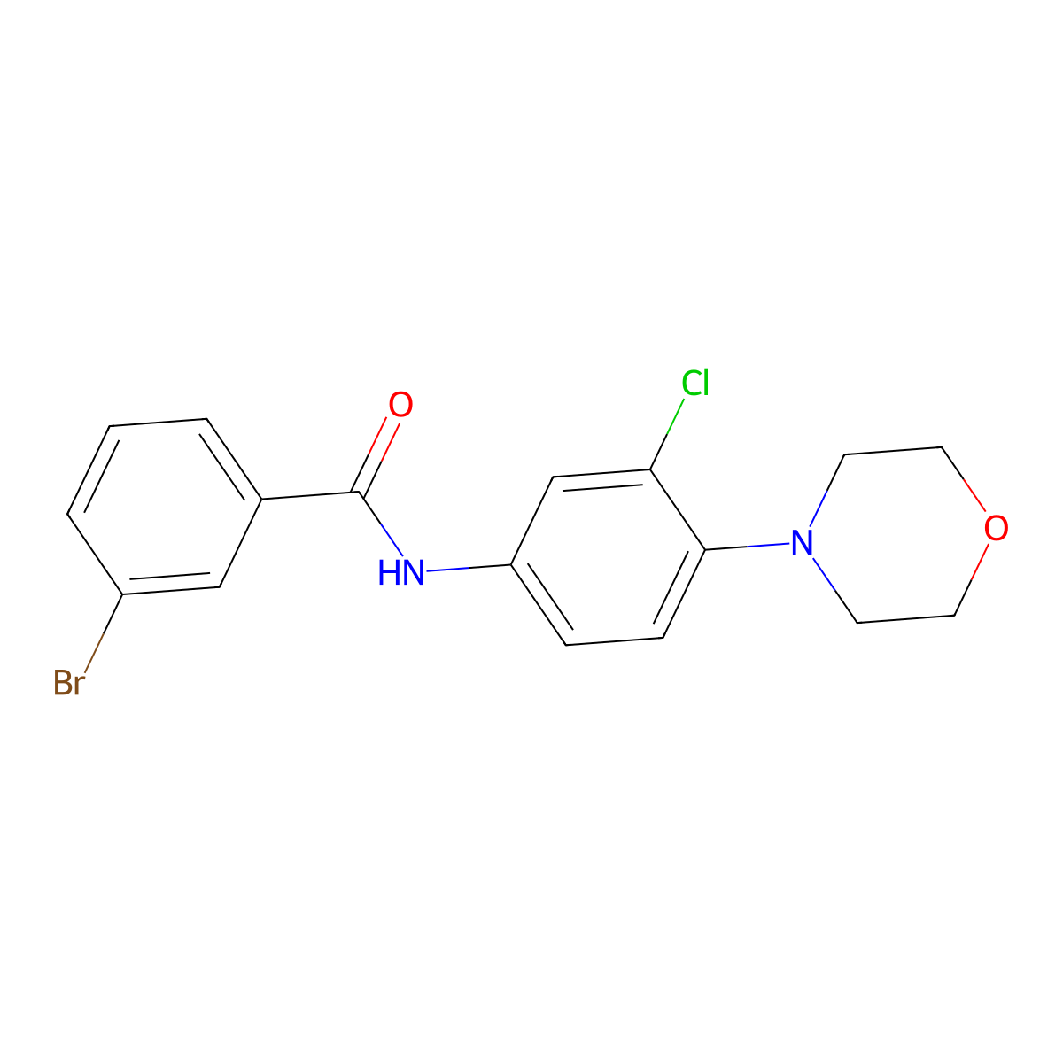 3-bromo-N-[3-chloro-4-(morpholin-4-yl)phenyl]benzamide molecular structure, CAS 426248-76-2