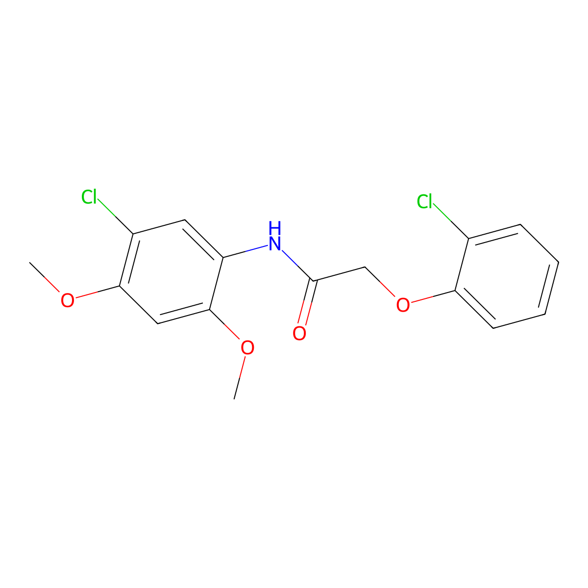 N-(5-chloro-2,4-dimethoxyphenyl)-2-(2-chlorophenoxy)acetamide molecular structure, CAS 429628-90-0