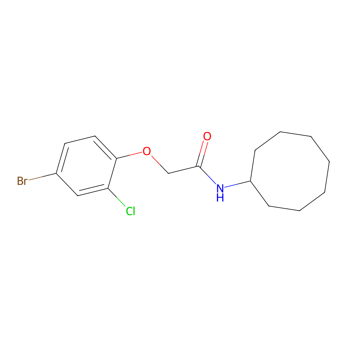 2-(4-bromo-2-chlorophenoxy)-N-cyclooctylacetamide molecular structure, CAS 430465-95-5