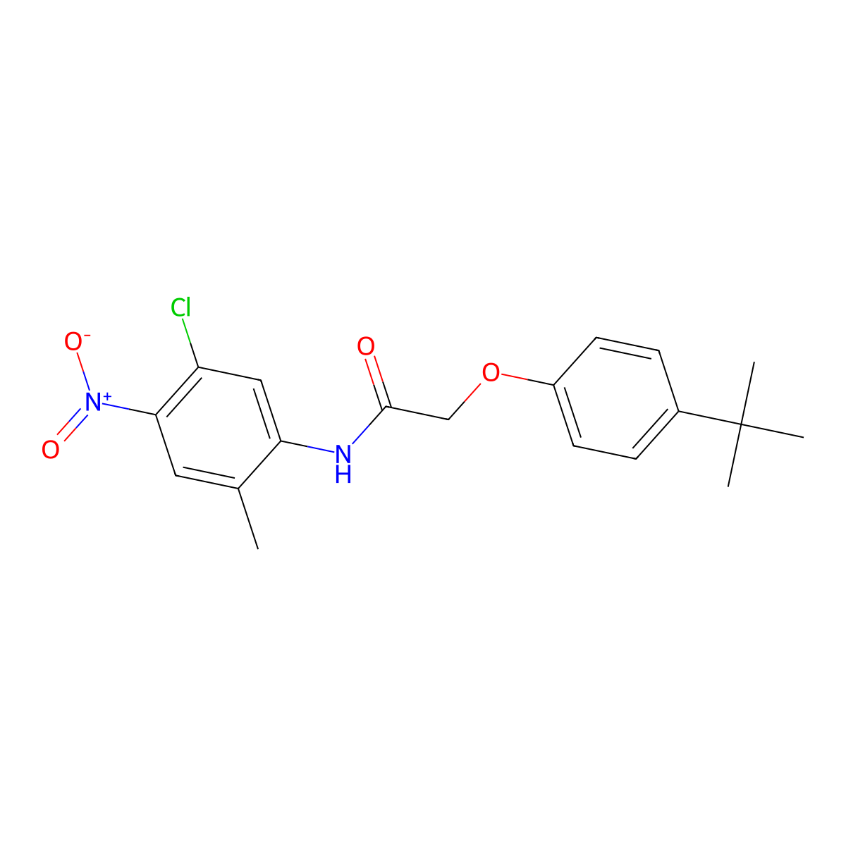 2-(4-tert-butylphenoxy)-N-(5-chloro-2-methyl-4-nitrophenyl)acetamide molecular structure, CAS 431070-32-5
