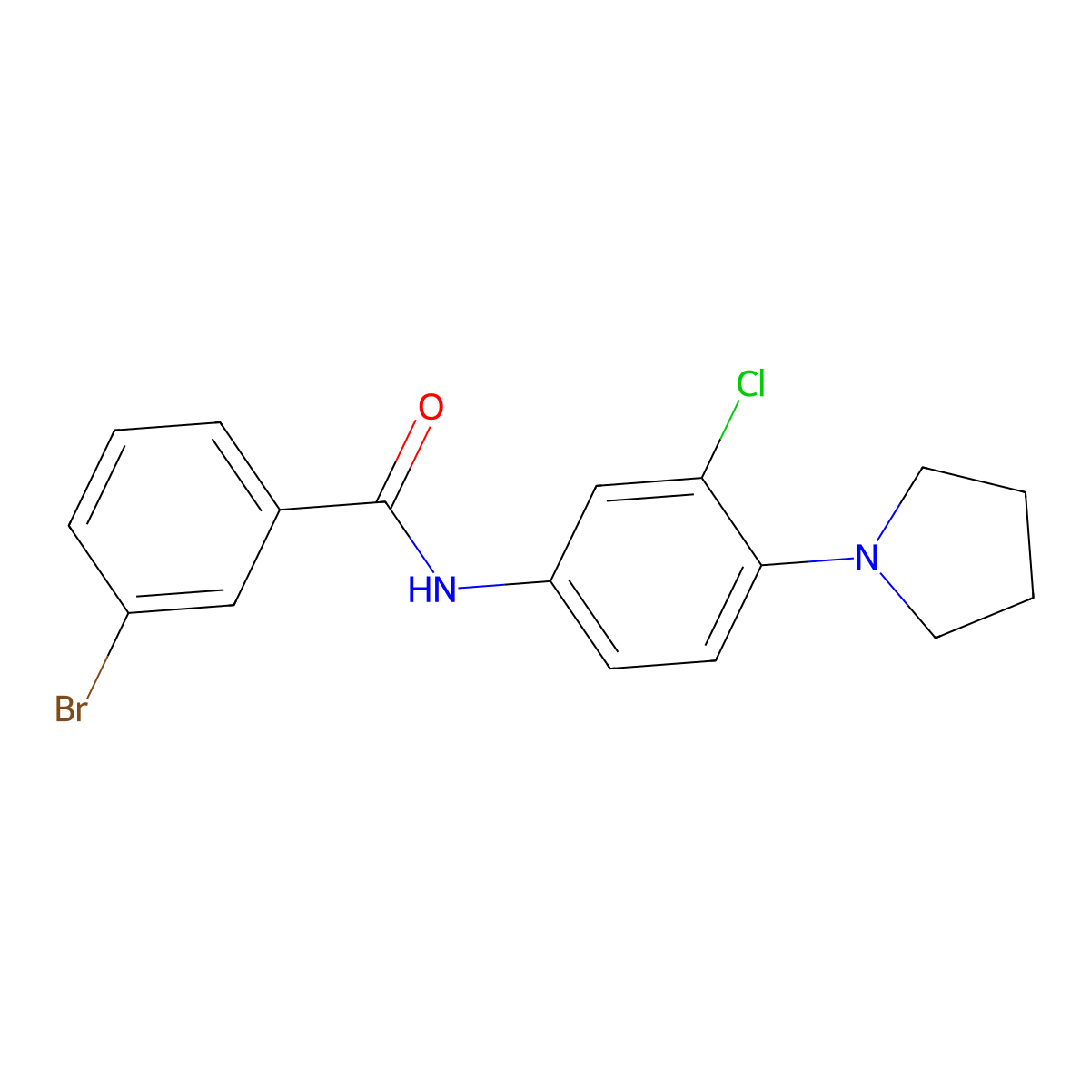 3-bromo-N-[3-chloro-4-(pyrrolidin-1-yl)phenyl]benzamide molecular structure, CAS 431926-51-1