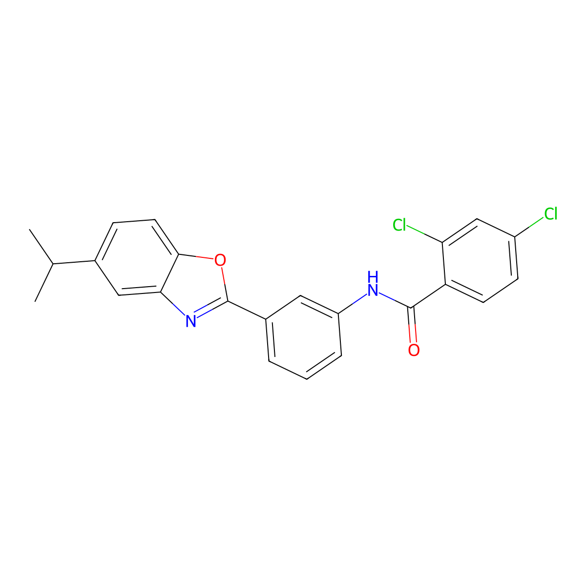 2,4-dichloro-N-{3-[5-(propan-2-yl)-1,3-benzoxazol-2-yl]phenyl}benzamide molecular structure, CAS 431933-39-0