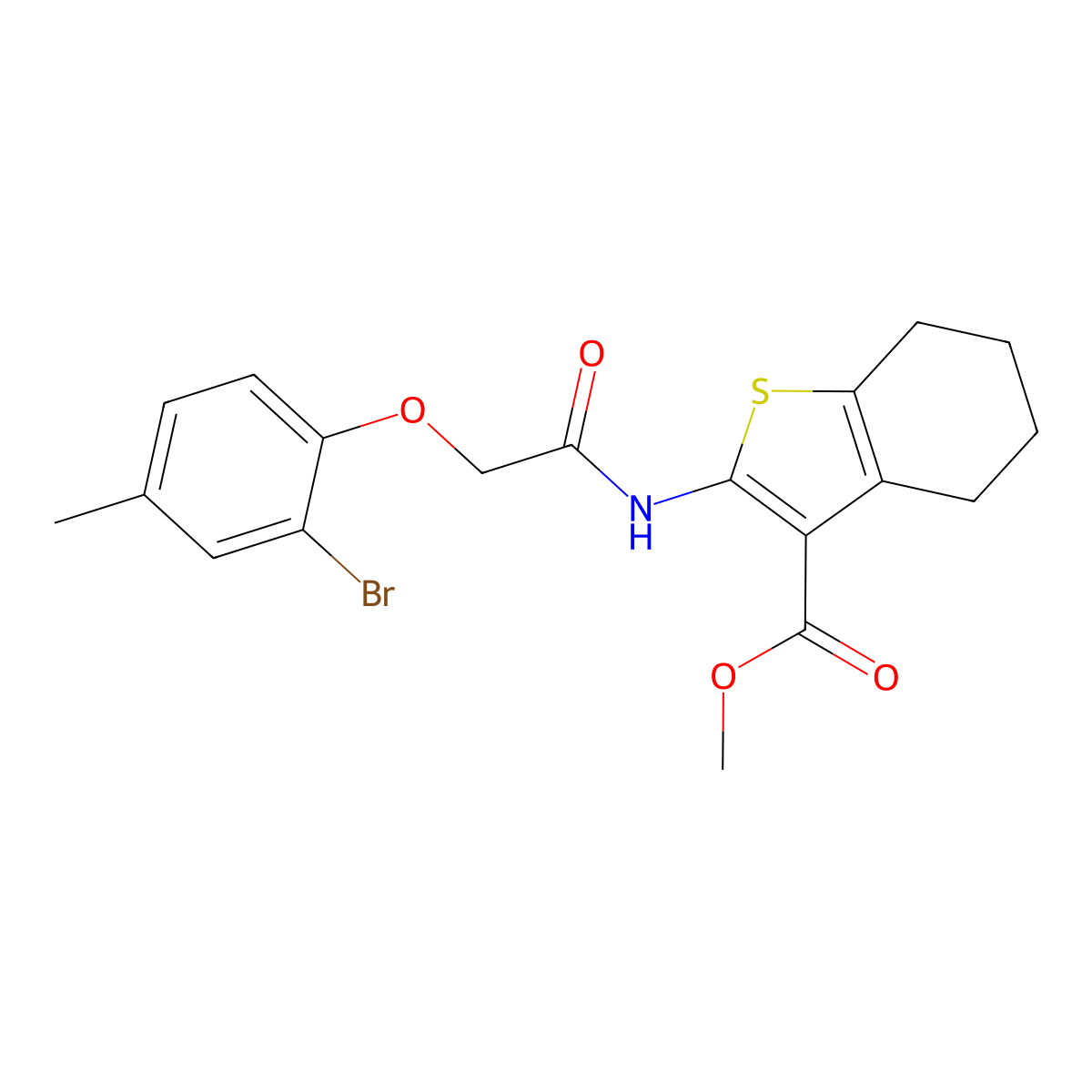 Methyl 2-{[(2-bromo-4-methylphenoxy)acetyl]amino}-4,5,6,7-tetrahydro-1-benzothiophene-3-carboxylate molecular structure, CAS 431977-18-3