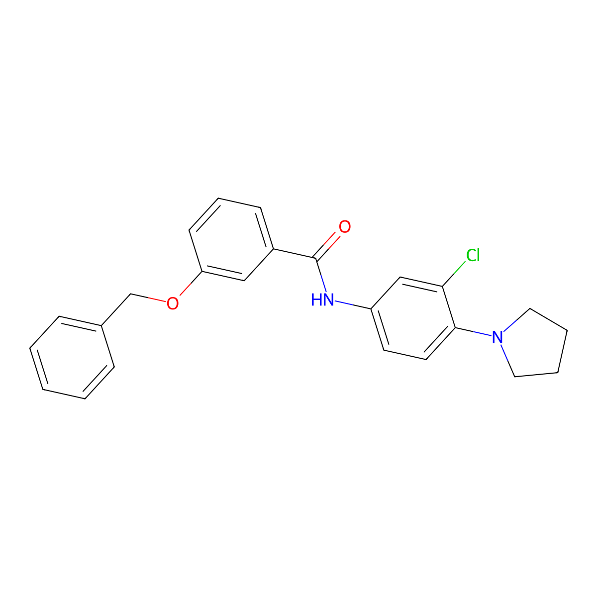 N-(3-chloro-4-pyrrolidin-1-ylphenyl)-3-phenylmethoxybenzamide molecular structure, CAS 431985-02-3