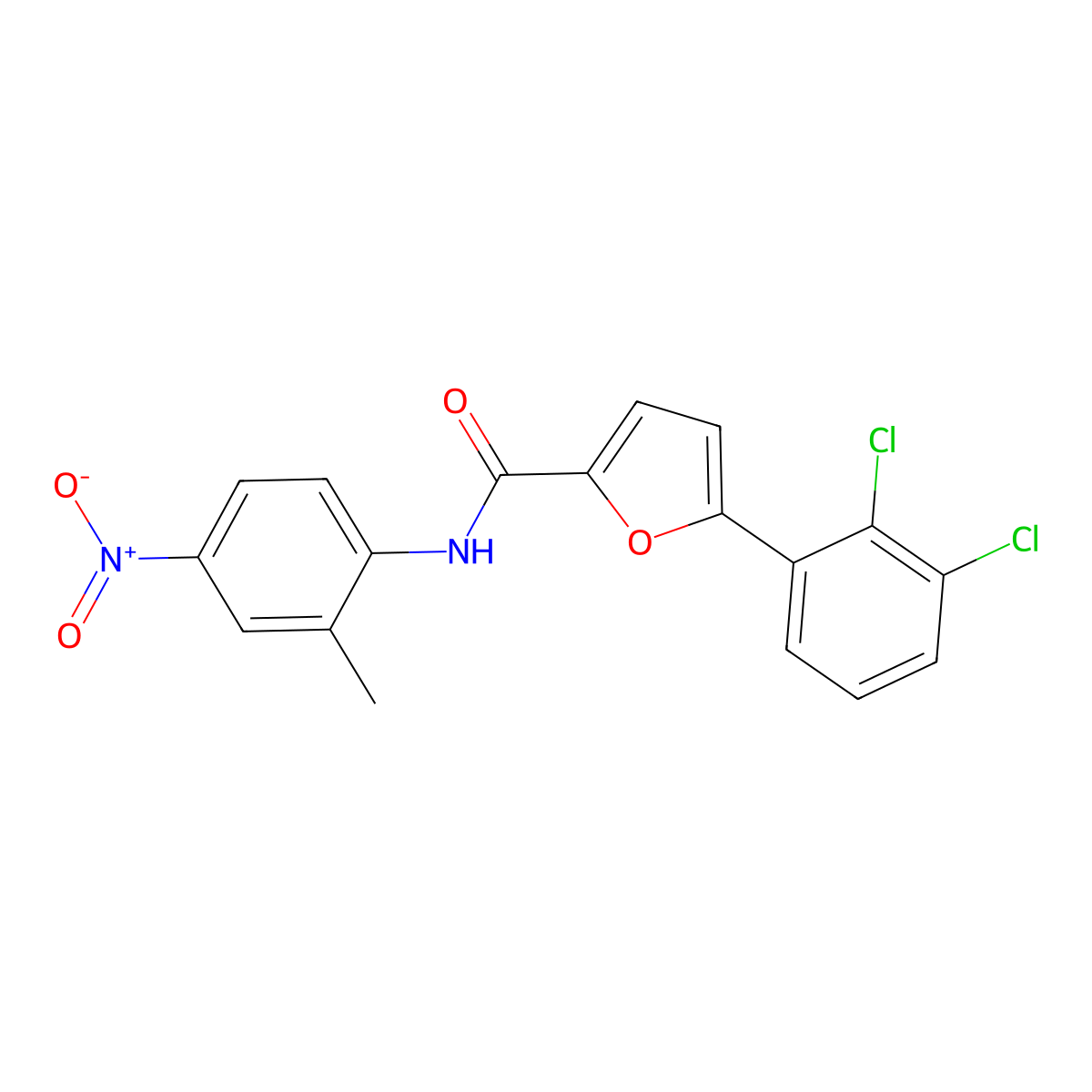 5-(2,3-dichlorophenyl)-N-(2-methyl-4-nitrophenyl)furan-2-carboxamide molecular structure, CAS 432518-46-2