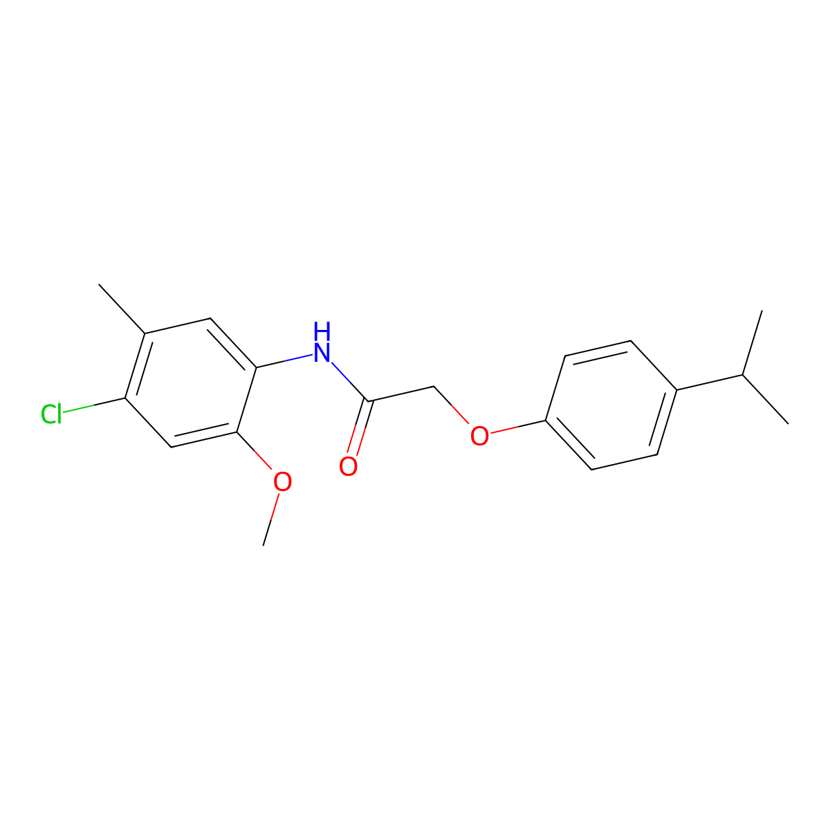 N-(4-chloro-2-methoxy-5-methylphenyl)-2-(4-propan-2-ylphenoxy)acetamide molecular structure, CAS 432529-60-7