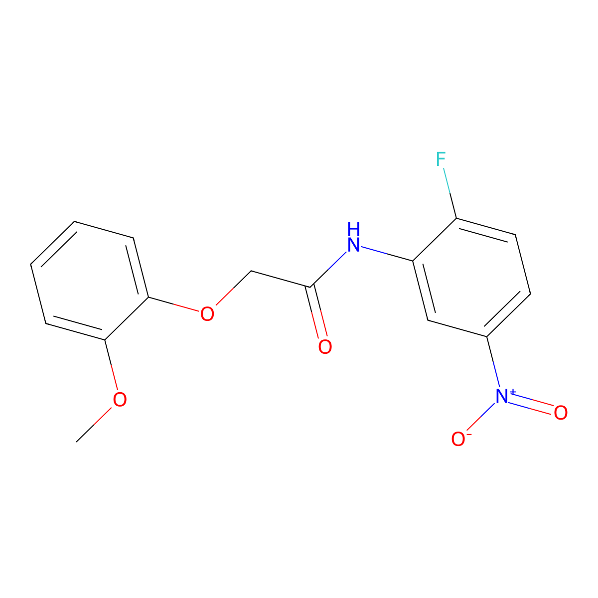 N-(2-fluoro-5-nitrophenyl)-2-(2-methoxyphenoxy)acetamide molecular structure, CAS 433316-50-8