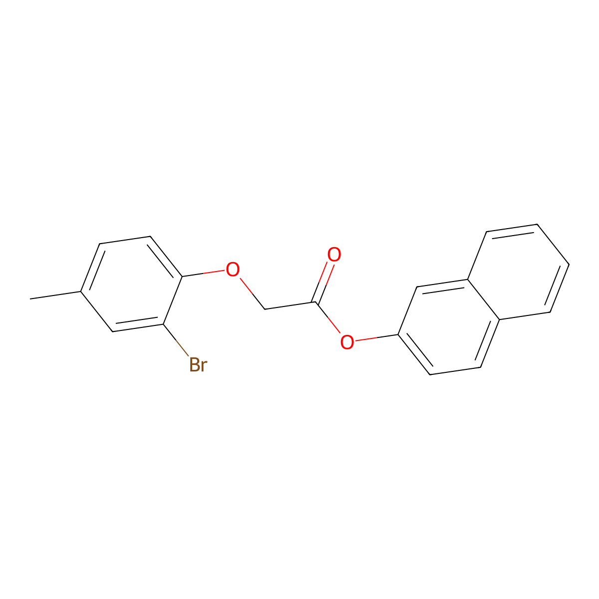 2-Naphthyl (2-bromo-4-methylphenoxy)acetate molecular structure, CAS 433326-63-7