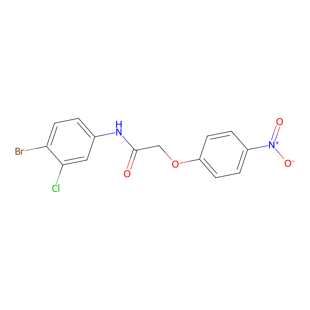 N-(4-bromo-3-chlorophenyl)-2-(4-nitrophenoxy)acetamide molecular structure, CAS 433690-41-6