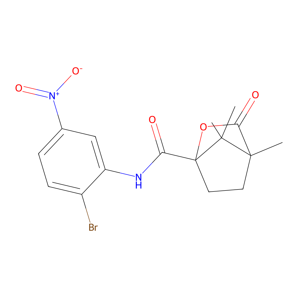 N-(2-bromo-5-nitrophenyl)-1,7,7-trimethyl-2-oxo-3-oxabicyclo[2.2.1]heptane-4-carboxamide molecular structure, CAS 433690-74-5