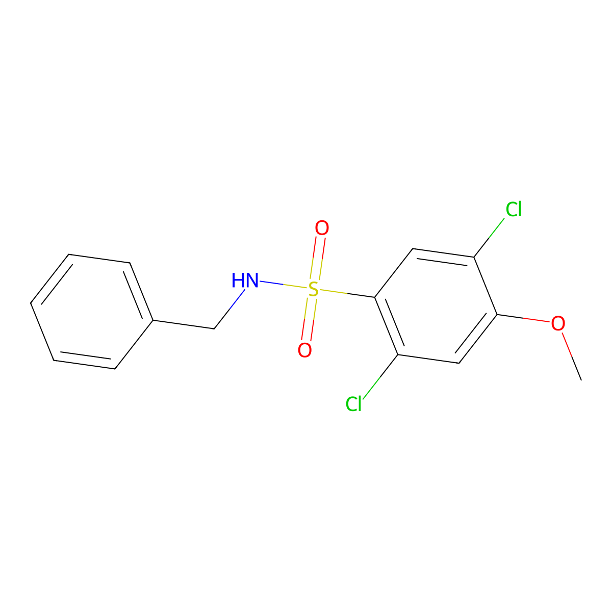 N-benzyl-2,5-dichloro-4-methoxybenzenesulfonamide molecular structure, CAS 433965-43-6