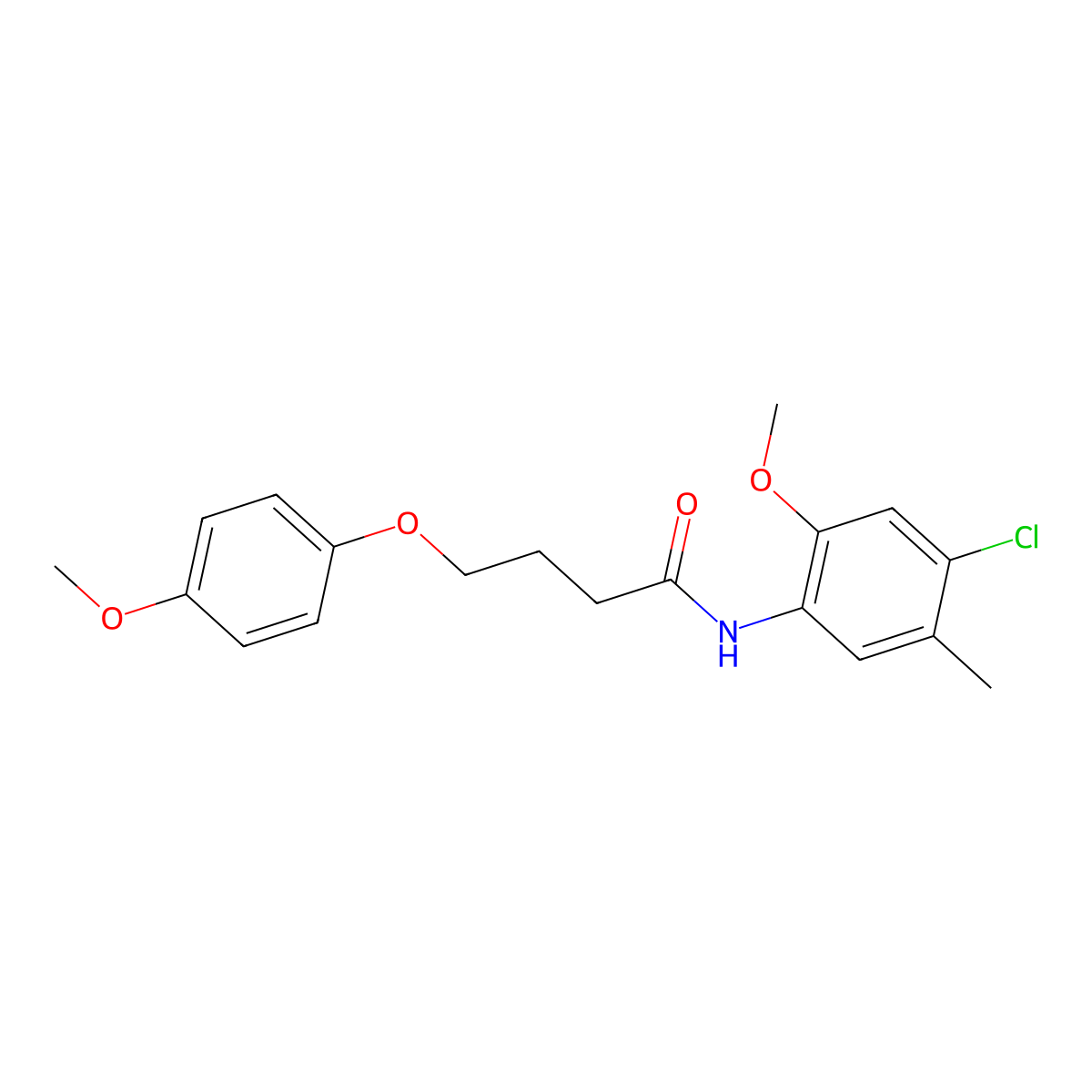 N-(4-chloro-2-methoxy-5-methylphenyl)-4-(4-methoxyphenoxy)butanamide molecular structure, CAS 433965-44-7