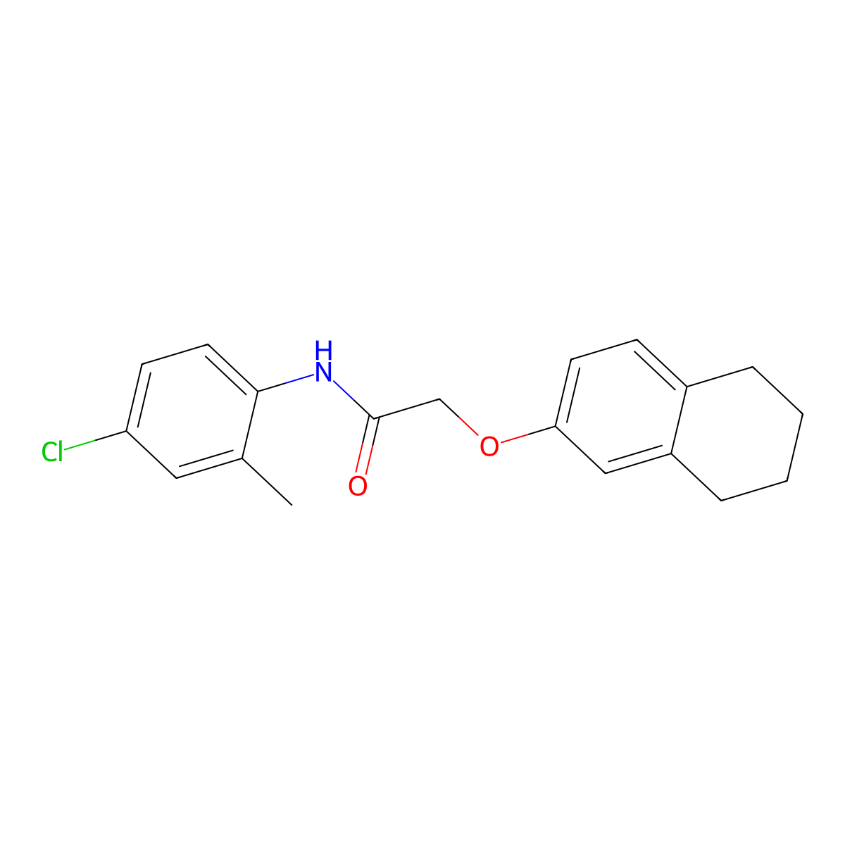 N-(4-chloro-2-methylphenyl)-2-(5,6,7,8-tetrahydronaphthalen-2-yloxy)acetamide molecular structure, CAS 434294-06-1