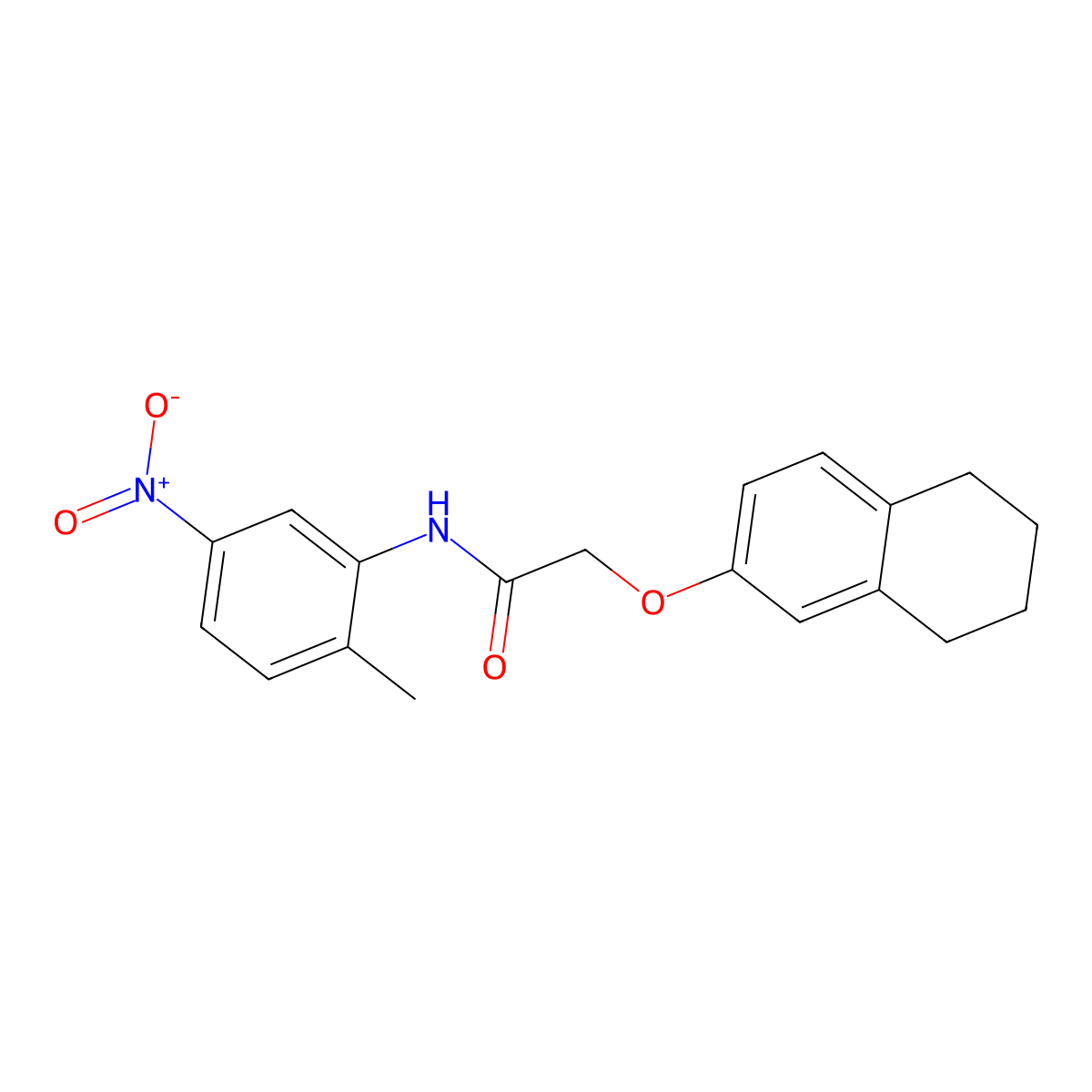 N-(2-methyl-5-nitrophenyl)-2-(5,6,7,8-tetrahydronaphthalen-2-yloxy)acetamide molecular structure, CAS 434295-82-6