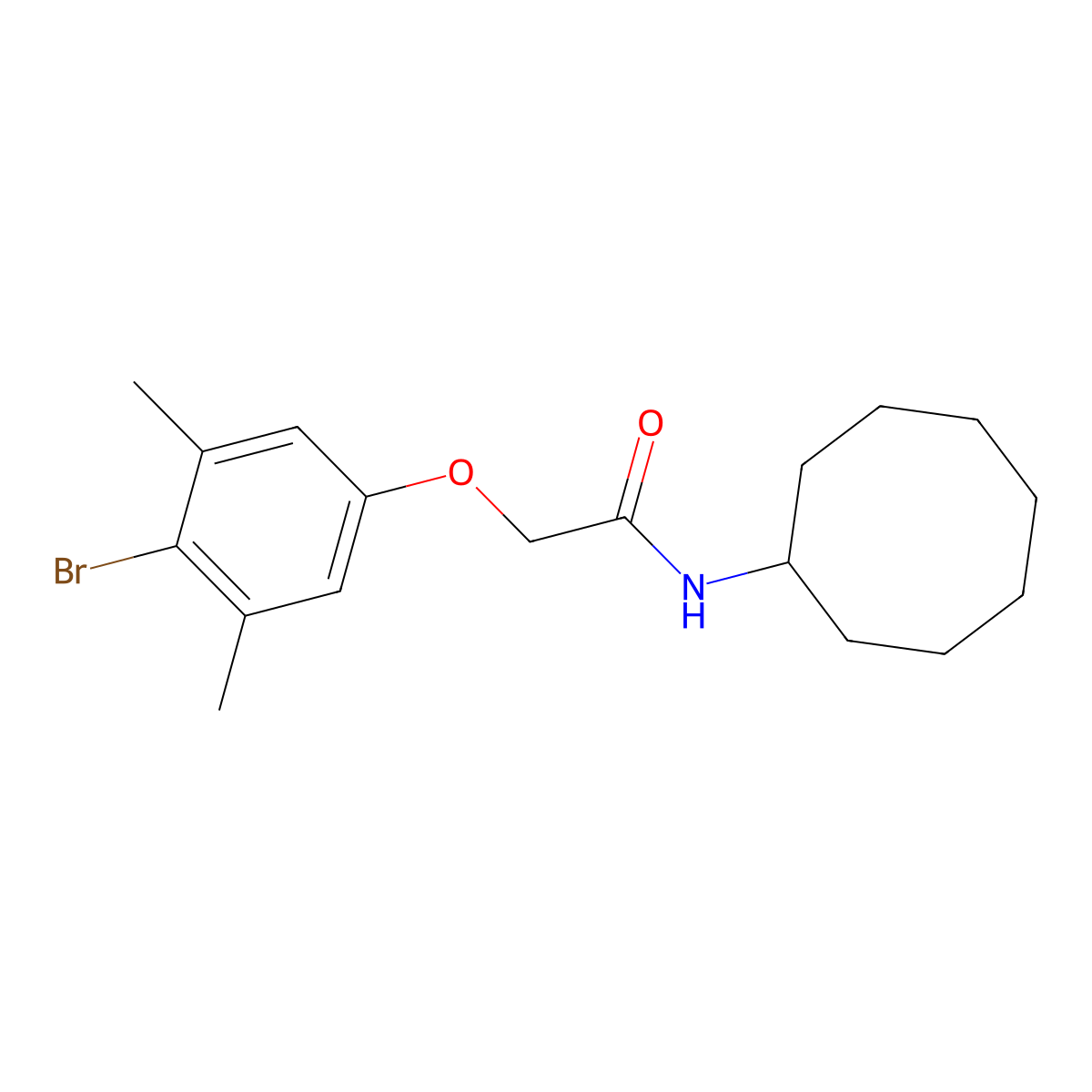 2-(4-bromo-3,5-dimethylphenoxy)-N-cyclooctylacetamide molecular structure, CAS 435289-04-6