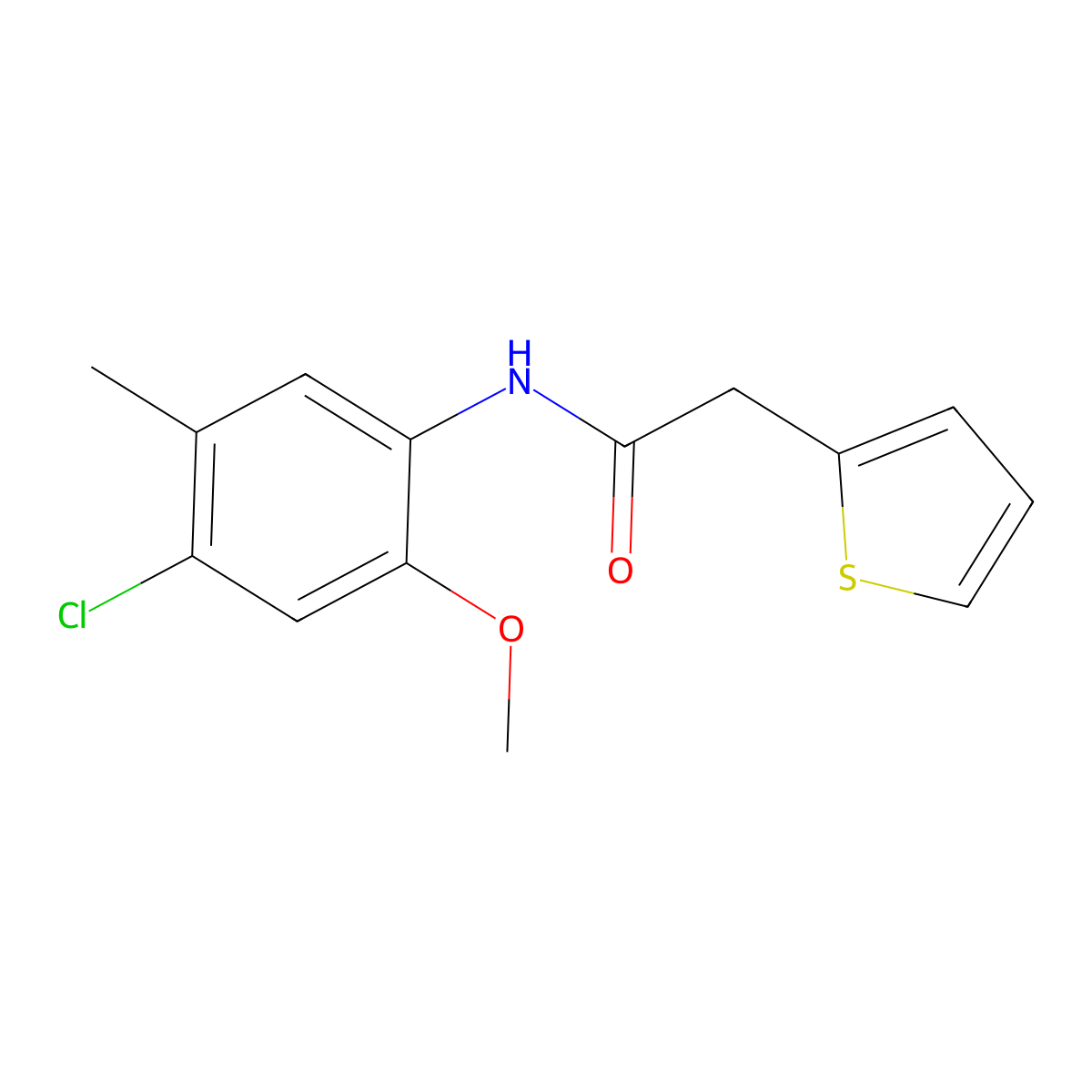 N-(4-chloro-2-methoxy-5-methylphenyl)-2-thiophen-2-ylacetamide molecular structure, CAS 435289-45-5