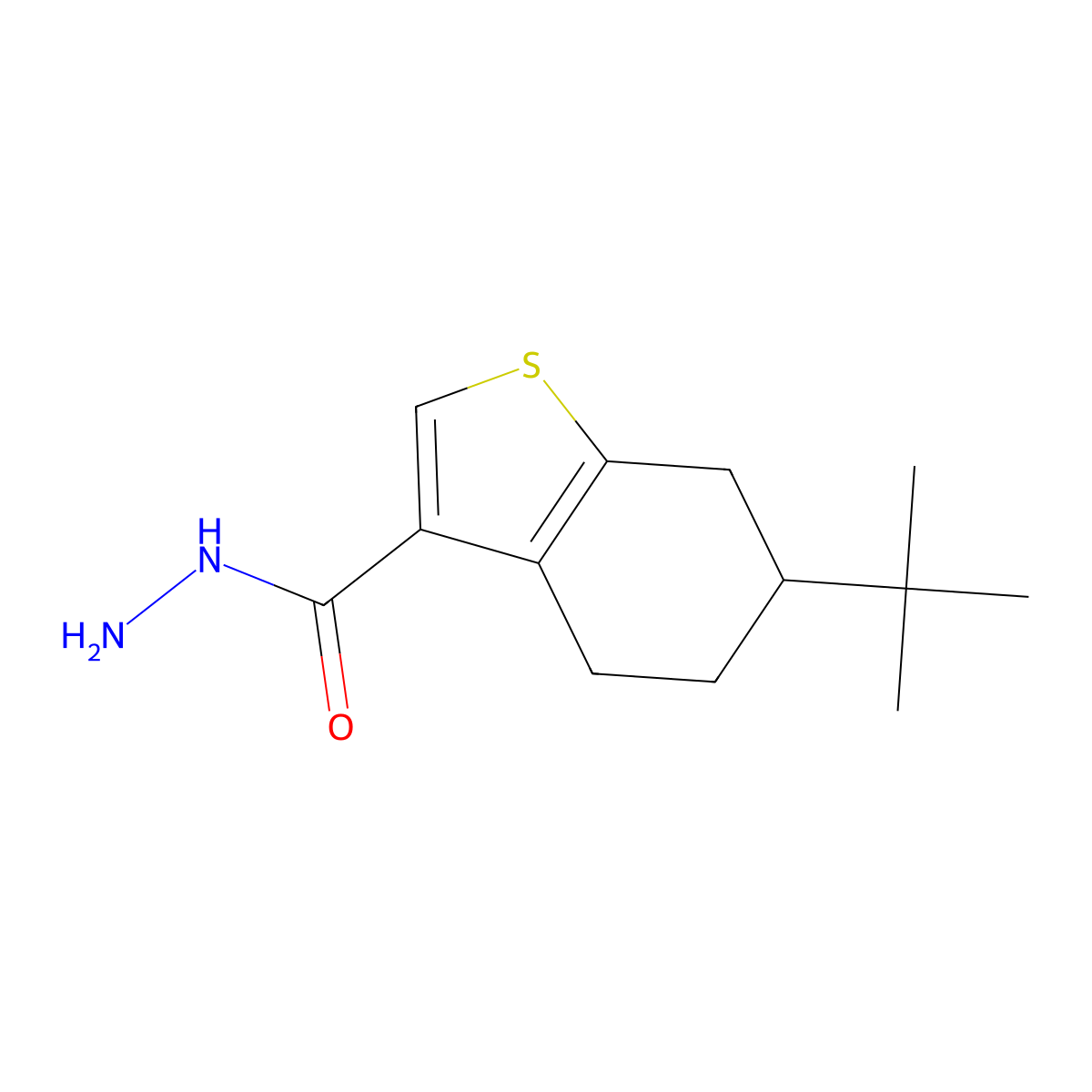 6-Tert-butyl-4,5,6,7-tetrahydro-1-benzothiophene-3-carbohydrazide molecular structure, CAS 438225-96-8