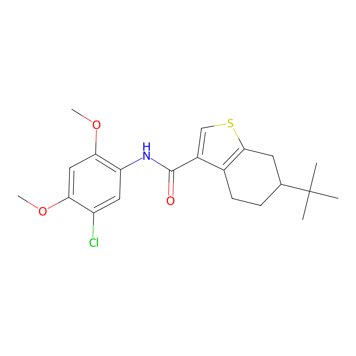 6-tert-butyl-N-(5-chloro-2,4-dimethoxyphenyl)-4,5,6,7-tetrahydro-1-benzothiophene-3-carboxamide molecular structure, CAS 438226-18-7