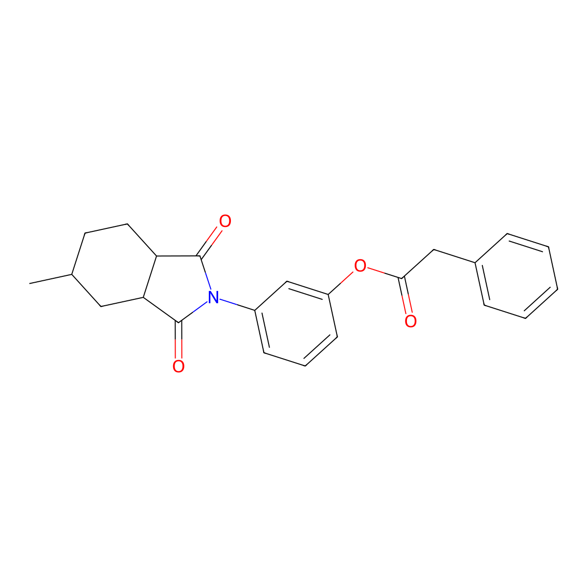 3-(5-methyl-1,3-dioxooctahydro-2H-isoindol-2-yl)phenyl phenylacetate molecular structure, CAS 438469-78-4