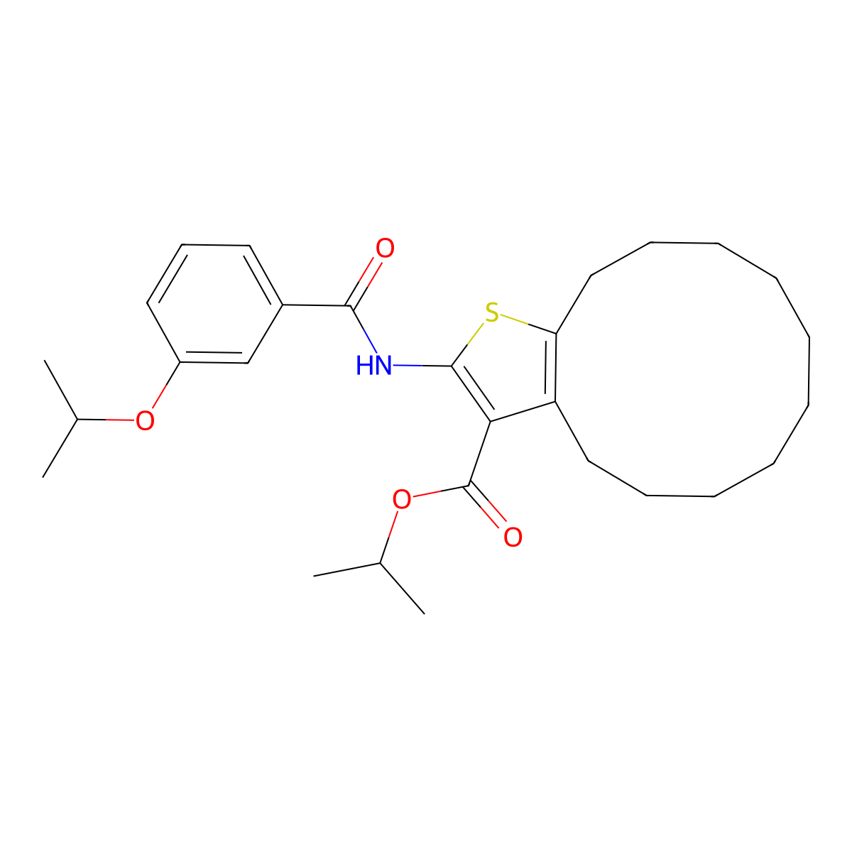 Isopropyl 2-[(3-isopropoxybenzoyl)amino]-4,5,6,7,8,9,10,11,12,13-decahydrocyclododeca[b]thiophene-3-carboxylate molecular structure, CAS 438531-54-5