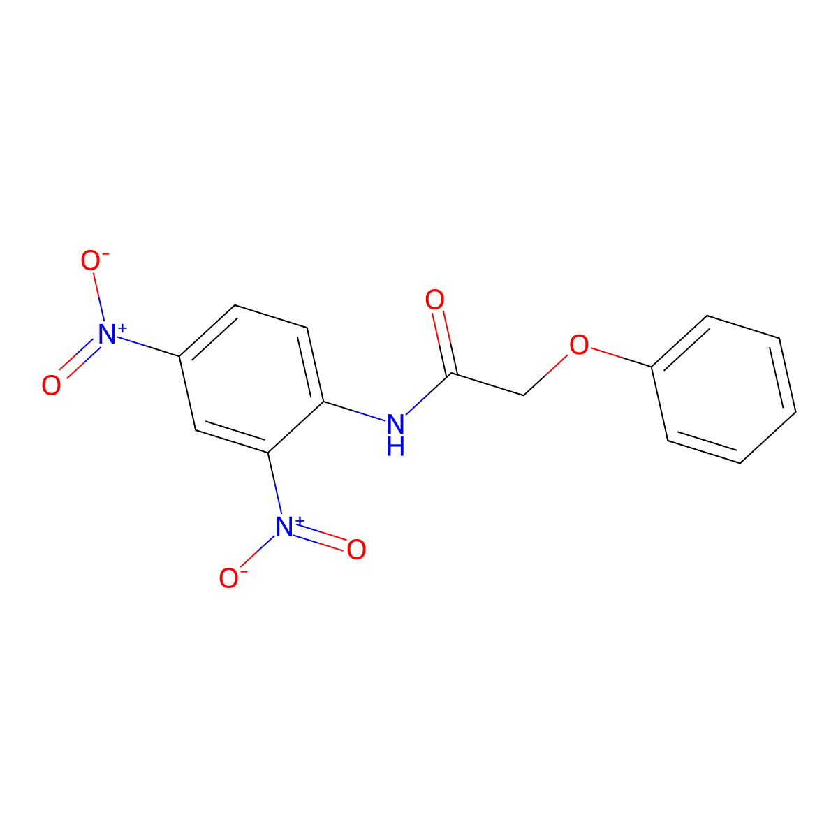 N-(2,4-dinitrophenyl)-2-phenoxyacetamide molecular structure, CAS 438617-54-0