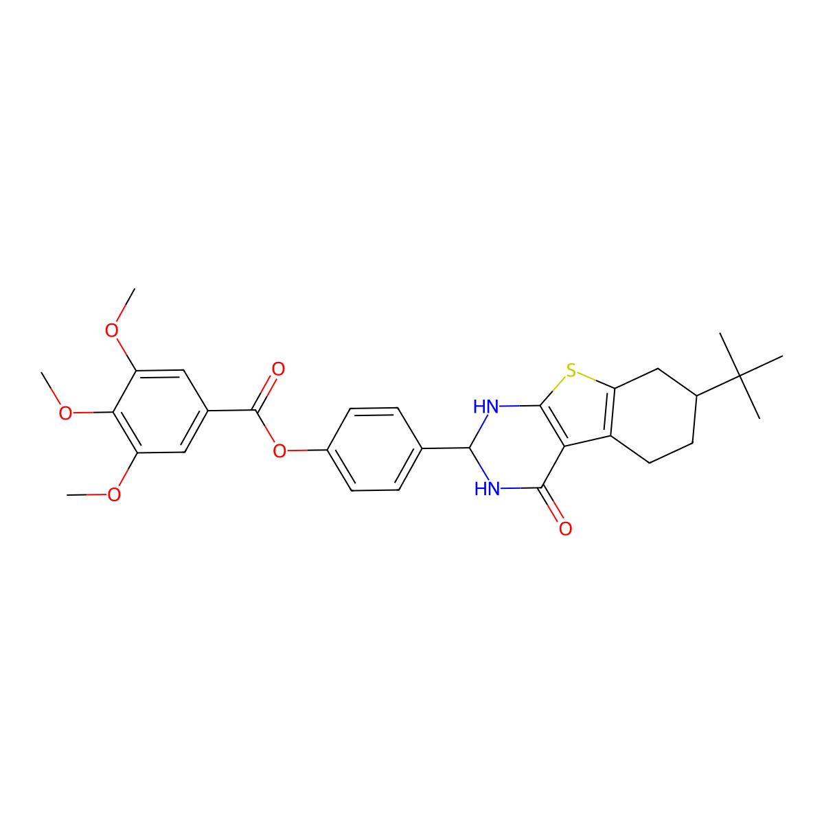 4-(7-Tert-butyl-4-oxo-1,2,3,4,5,6,7,8-octahydro[1]benzothieno[2,3-d]pyrimidin-2-yl)phenyl 3,4,5-trimethoxybenzoate molecular structure, CAS 439091-05-1