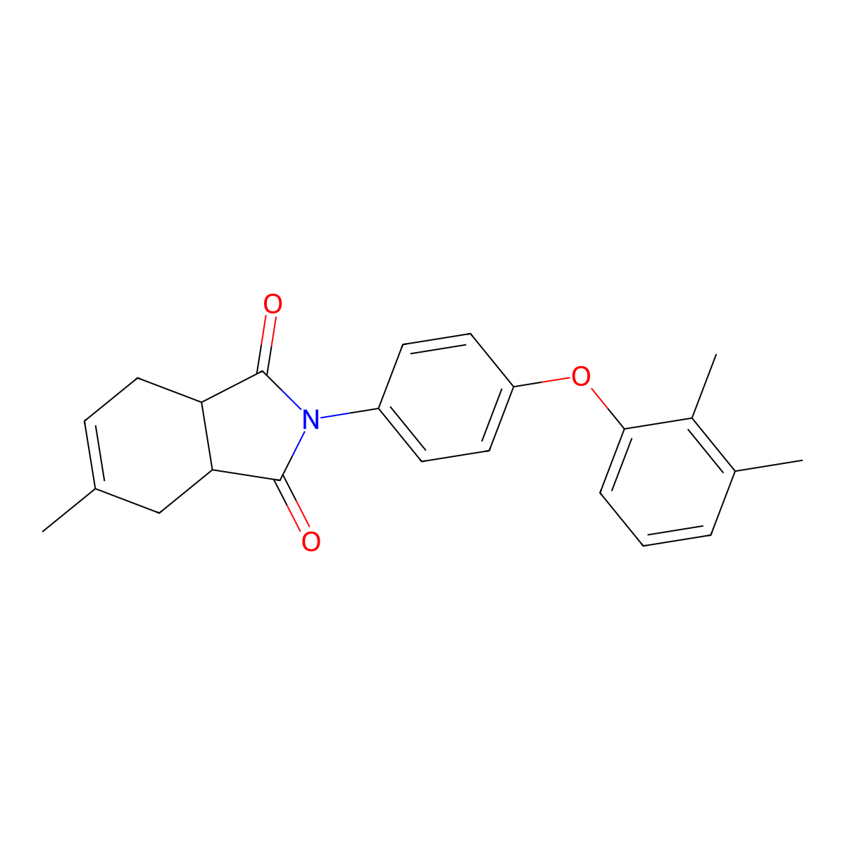 2-[4-(2,3-Dimethylphenoxy)phenyl]-5-methyl-3a,4,7,7a-tetrahydroisoindole-1,3-dione molecular structure, CAS 441051-96-3