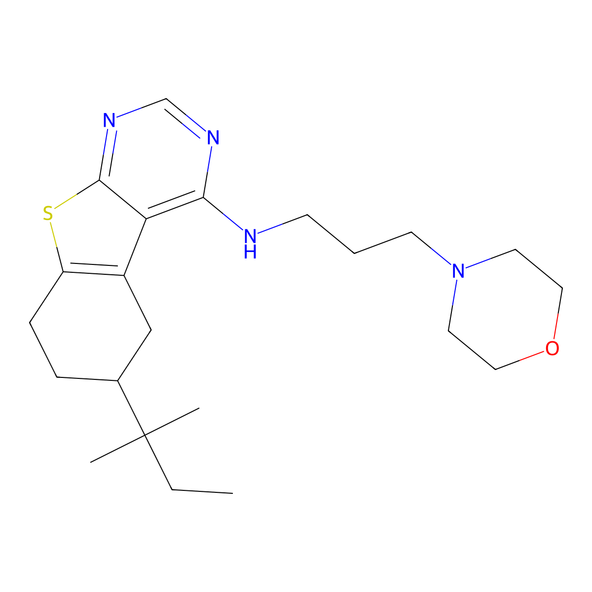 6-(2-methylbutan-2-yl)-N-[3-(morpholin-4-yl)propyl]-5,6,7,8-tetrahydro[1]benzothieno[2,3-d]pyrimidin-4-amine molecular structure, CAS 442572-67-0