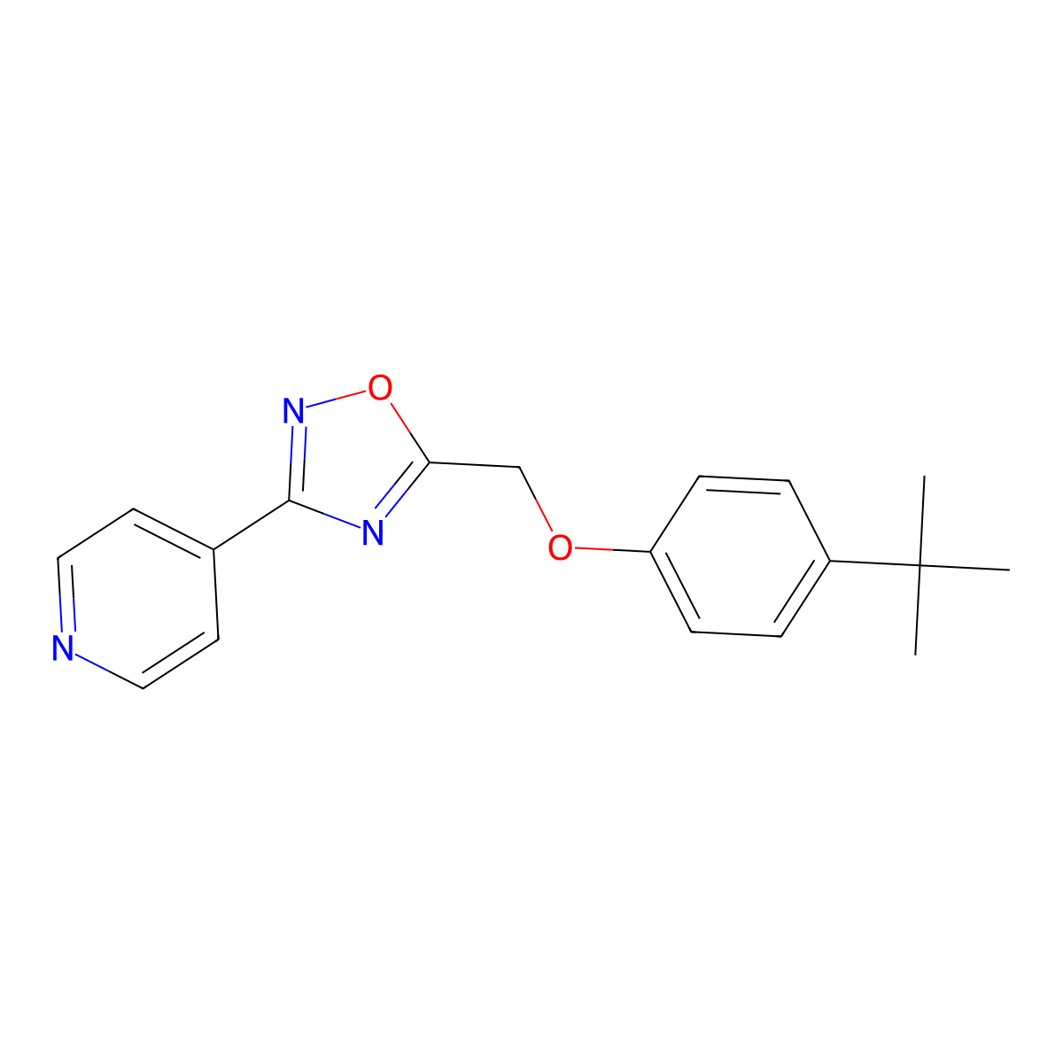 5-[(4-Tert-butylphenoxy)methyl]-3-pyridin-4-yl-1,2,4-oxadiazole molecular structure, CAS 442651-14-1