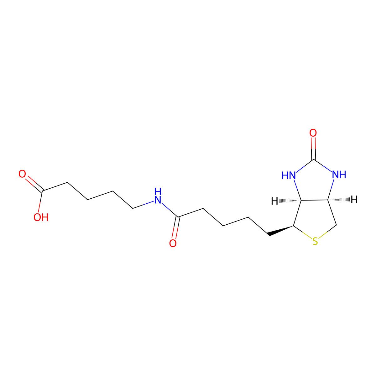 N-Biotinyl-5-aminopentanoic acid molecular structure, CAS 443770-03-4