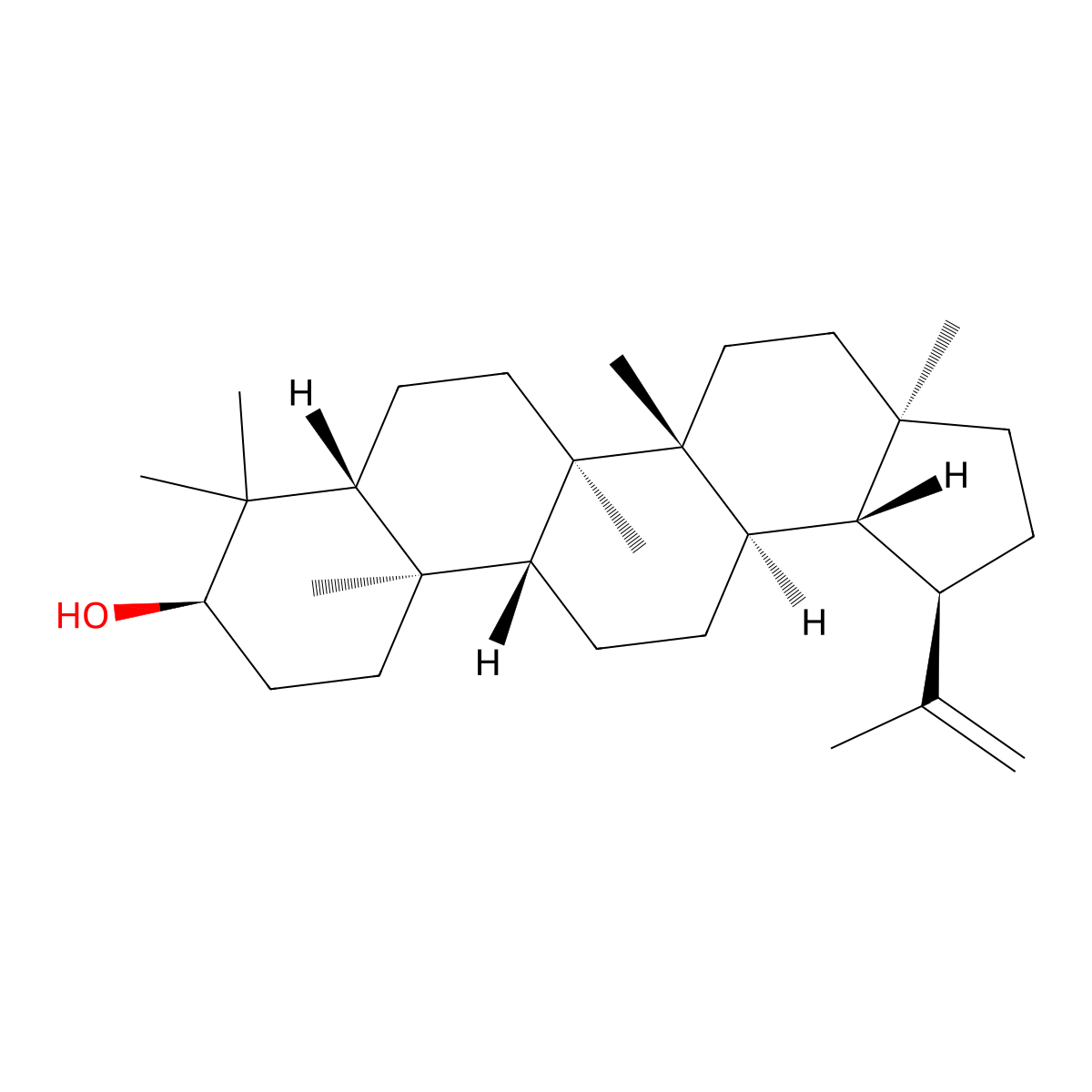 Epilupeol molecular structure, CAS 4439-99-0